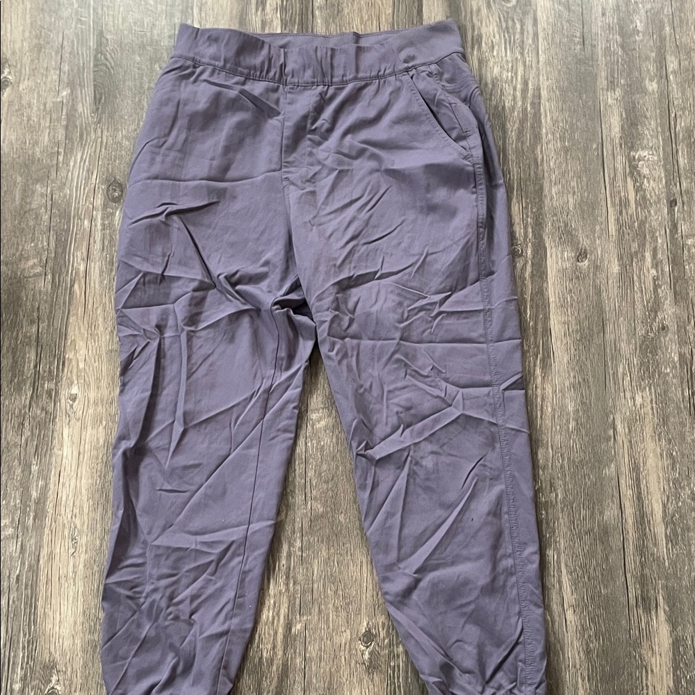 The North Face Women's Purple Pants